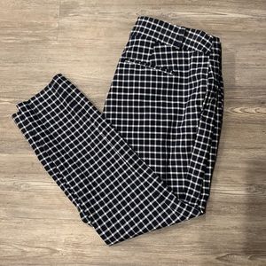 Loft Outlet Blue/White Check Ankle Pants 6P